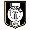 格兰CEO